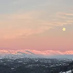 Mountain Gem With Inout In *