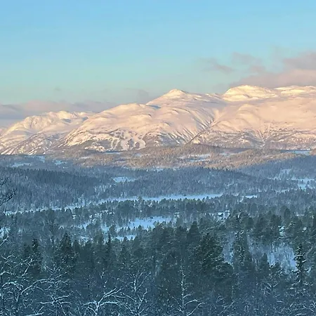 Mountain Gem With Inout In