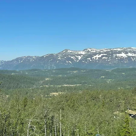 Mountain Gem With Inout In