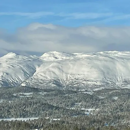 Mountain Gem With Inout In *